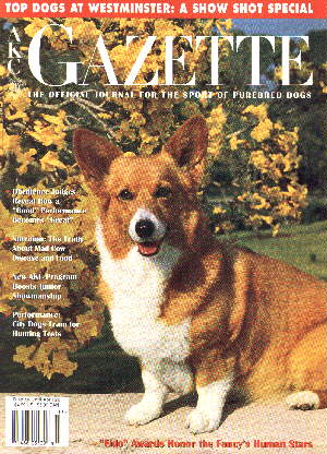 Gazette Magazine