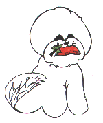 spec99sm.gif (5075 bytes)